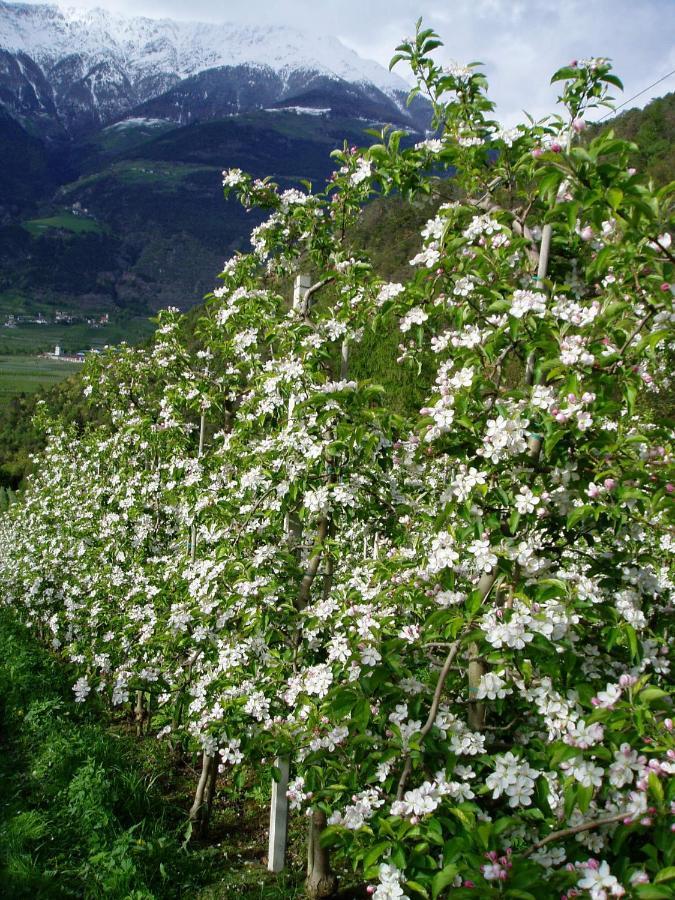 Schlosshof Zu Montani 모르터 외부 사진