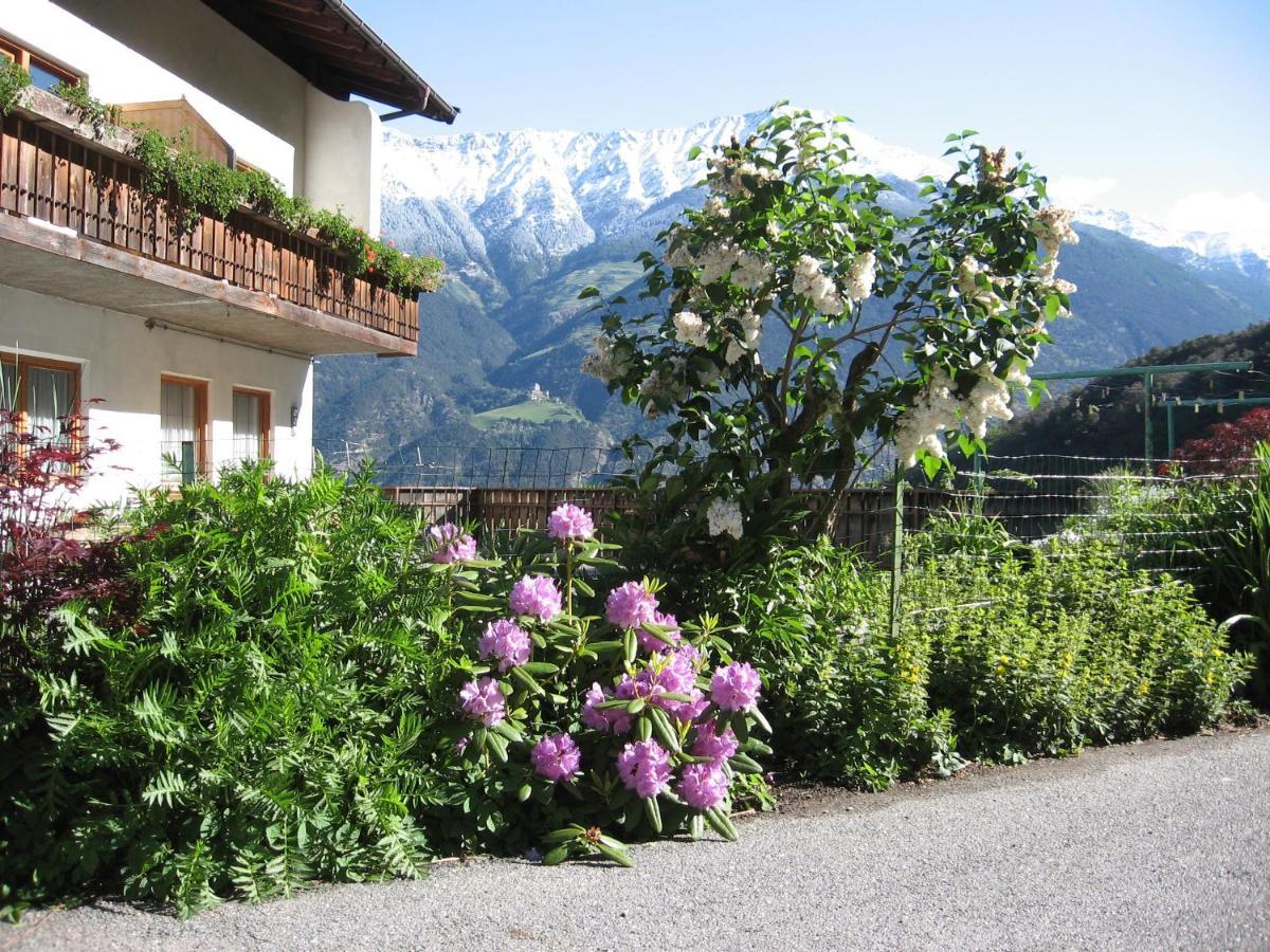 Schlosshof Zu Montani 모르터 외부 사진